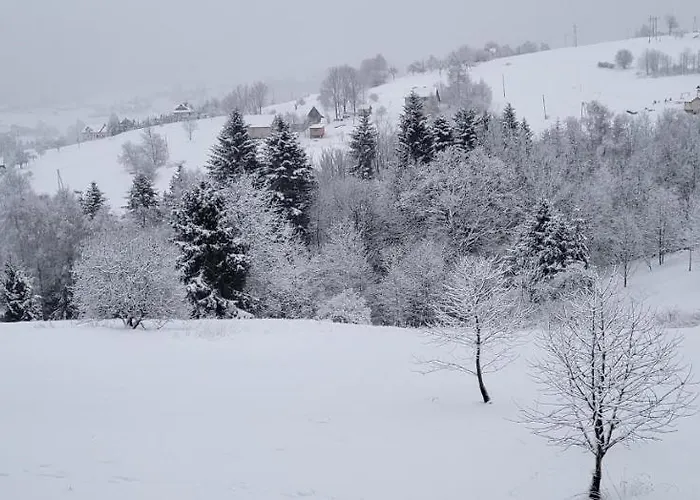 8 I 10 Osobowe Koniakowka Villa