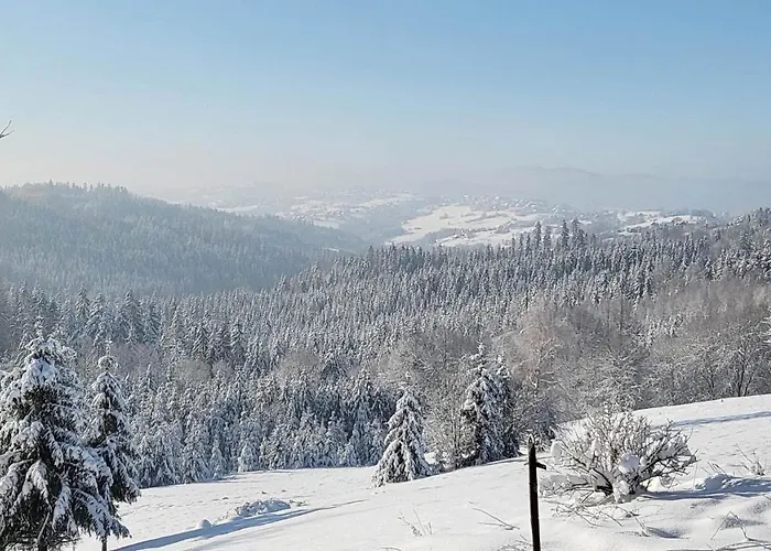 8 I 10 Osobowe Koniakowka Villa Koniakow